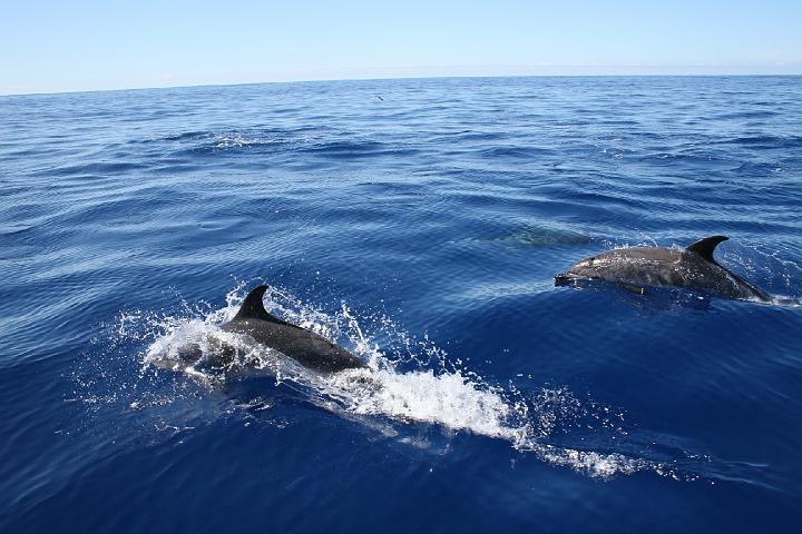 Azul 123.jpg